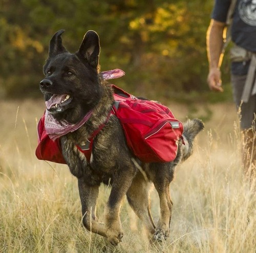 Ruffwear palisades dog - ruffwear,